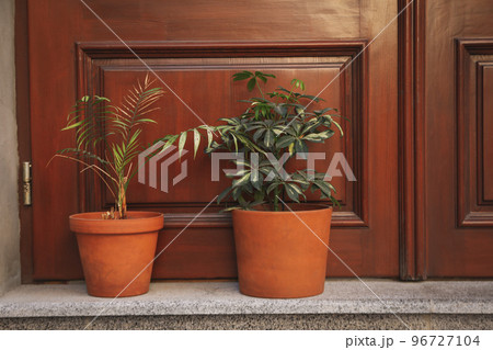 Pots with plants near wooden doors outdoor Pots with plants near wooden doors outdoor 96727104