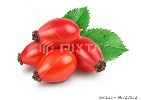 Rose hip isolated on a white background with full depth of field 96727852