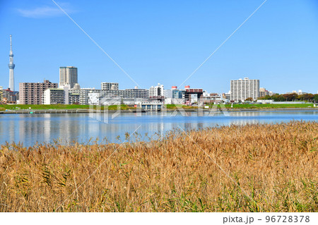 荒川越しに江東区東砂方面を望む(東京都江東区)【2021.11】 96728378