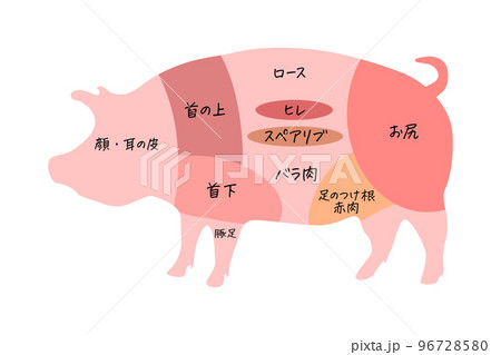 豚の部位のイラスト(png) 豚の部位のイラスト(png) 96728580
