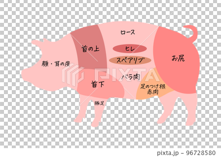 豚の部位のイラスト(png) 豚の部位のイラスト(png) 96728580