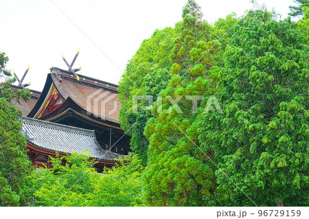 【備中国一宮】吉備津神社 南随神門と本殿2 岡山県岡山市北区 【備中国一宮】吉備津神社 南随神門と本殿2 岡山県岡山市北区 96729159