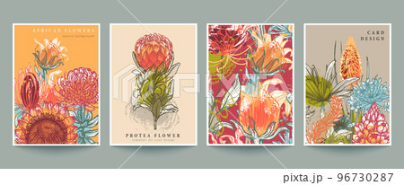 Set of four vector pre-made cards or posters with traditional African flowers, plants and abstract texture 96730287