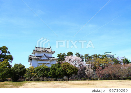 満開の桜と名古屋城東南隅櫓の風景 満開の桜と名古屋城東南隅櫓の風景 96730299