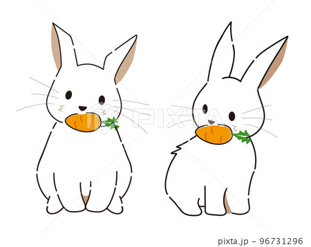 にんじんをくわえて可愛い表情をしているふわふわの可愛いうさぎの