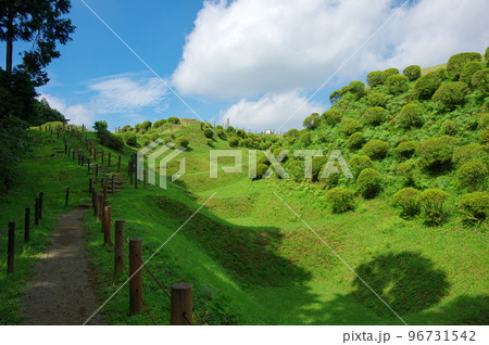 山中城跡／西ノ丸畝堀（静岡県三島市） 96731542