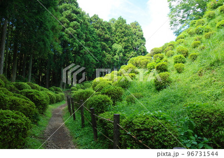 山中城跡（静岡県三島市） 96731544