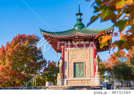 秋の平和公園〈愛知県名古屋市〉 秋の平和公園〈愛知県名古屋市〉 96731564