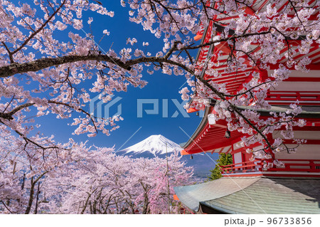 《山梨県》富士山と五重塔と満開の桜・春の新倉山浅間公園 96733856