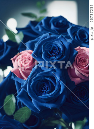 バラ 薔薇 花 植物 綺麗 愛 青 紫 黒 96737255
