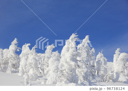 冬の風景/青空の下の樹氷林 冬の風景/青空の下の樹氷林 96738124