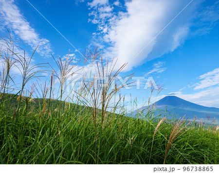 パノラマ台から見た富士山 96738865