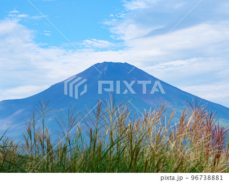 パノラマ台から見た富士山 96738881