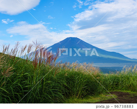 パノラマ台から見た富士山 96738883