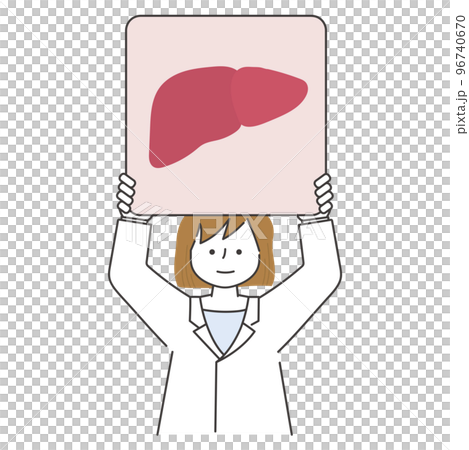 肝臓の描かれたパネルを掲げる女性医師 96740670