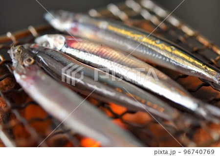 きびなご 網焼き キビナゴ きびなご 網焼き キビナゴ 96740769