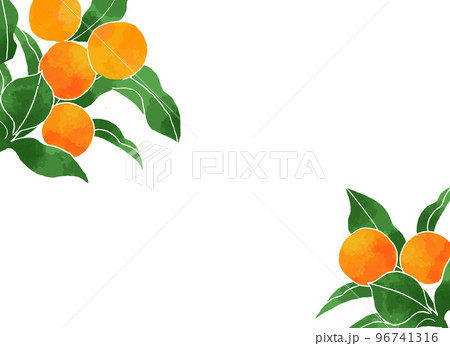 柑橘の背景素材 96741316