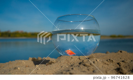 A round aquarium with a goldfish stands on the sand on the lake.  96741628