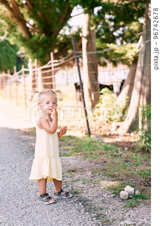 Little girl stands with a carrot in her hand near the fence on a country road. High quality photo Little girl stands with a carrot in her hand near the fence on a country road. High quality photo 96742678