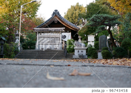 干支にまつわる神社~未 羊神社 境内 2 干支にまつわる神社~未 羊神社 境内 2 96743458