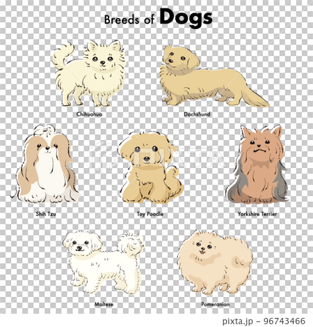 シンプルでかわいい人気の小型犬種　手描き線画ベクターイラストセット 96743466