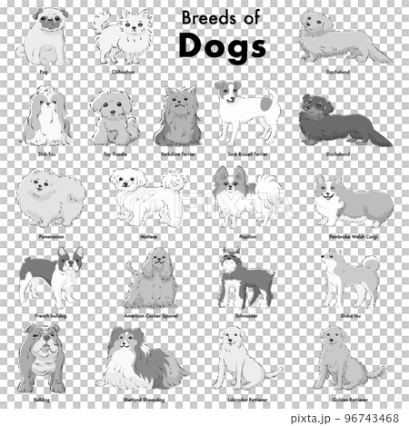 シンプルでかわいい人気の犬種　手描き線画ベクターイラストセット（白黒） 96743468