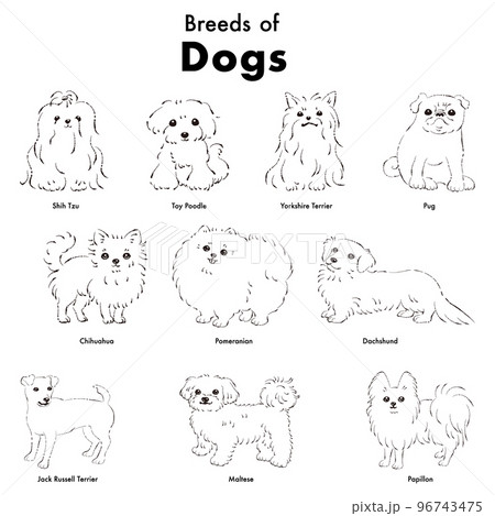 シンプルでかわいい人気の小型犬種 手描き線画ベクターイラストセット 白黒 のイラスト素材
