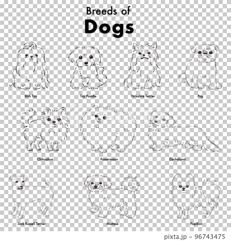 簡單可愛的流行小型犬品種手繪線描矢量插圖集（黑白） 96743475