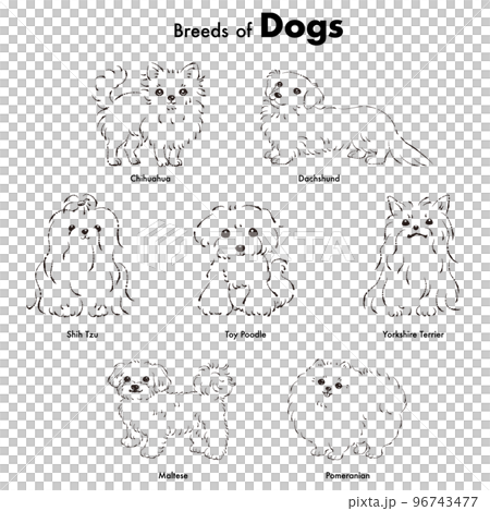 シンプルでかわいい人気の小型犬種　手描き線画ベクターイラストセット（白黒） 96743477