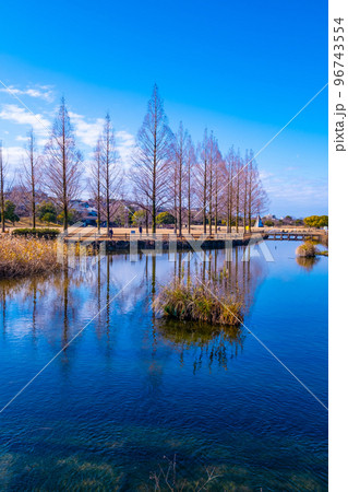 冬の打上川治水緑地 冬の打上川治水緑地 96743554