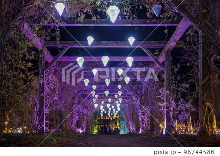 高原のイルミネーションイベント　宮城県加美町 96744586