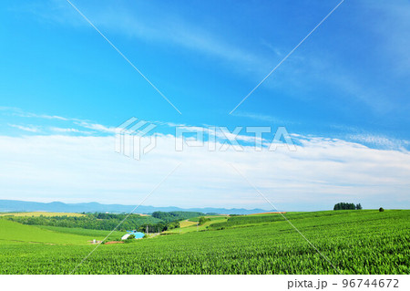 北海道 夏の青空と美瑛の風景 北海道 夏の青空と美瑛の風景 96744672