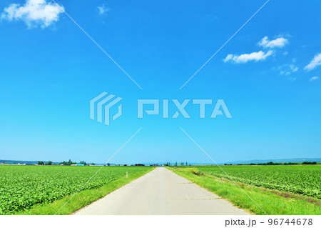 北海道　青空の道 96744678