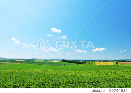 北海道　夏の青空と新緑の高原風景 96744683