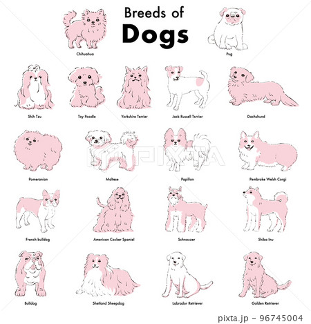シンプルでかわいい人気の犬種 手描き線画ベクターイラストセット シンプルでかわいい人気の犬種 手描き線画ベクターイラストセット 96745004