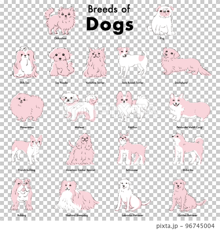 簡單可愛的流行犬種手繪線描矢量插圖集 96745004