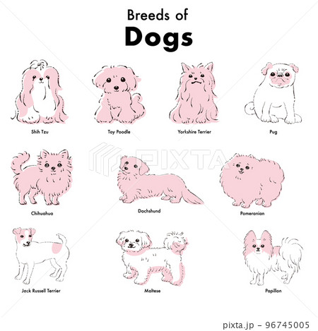 シンプルでかわいい人気の小型犬種　手描き線画ベクターイラストセット 96745005