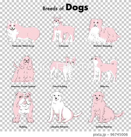 簡單可愛的流行中大型犬種手繪線描矢量圖集 96745006