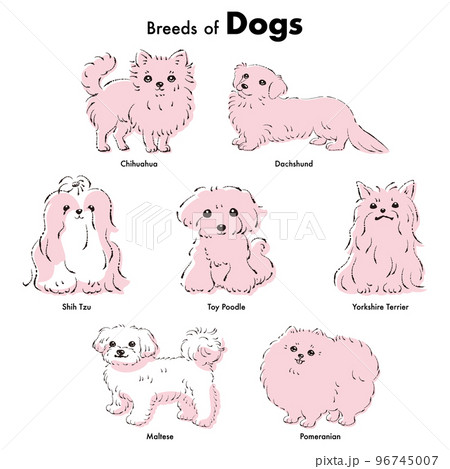 シンプルでかわいい人気の小型犬種　手描き線画ベクターイラストセット 96745007