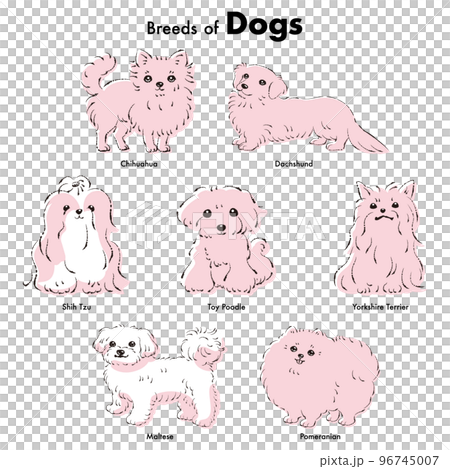 シンプルでかわいい人気の小型犬種　手描き線画ベクターイラストセット 96745007