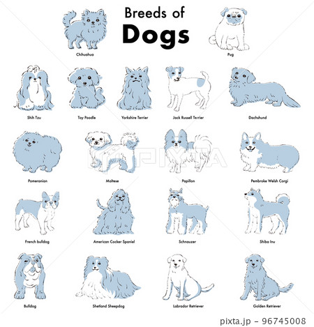 シンプルでかわいい人気の犬種　手描き線画ベクターイラストセット 96745008