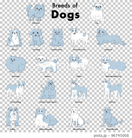 シンプルでかわいい人気の犬種　手描き線画ベクターイラストセット 96745008