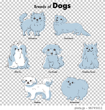 Simple and cute popular small dog breed hand-drawn line drawing vector illustration set 96745011