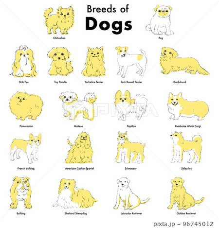 シンプルでかわいい人気の犬種　手描き線画ベクターイラストセット 96745012