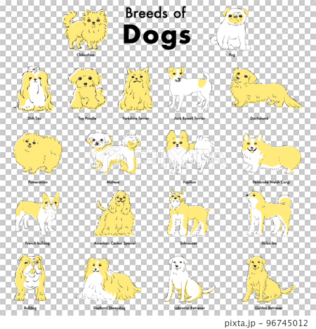 Simple and cute popular dog breed hand-drawn line drawing vector illustration set 96745012