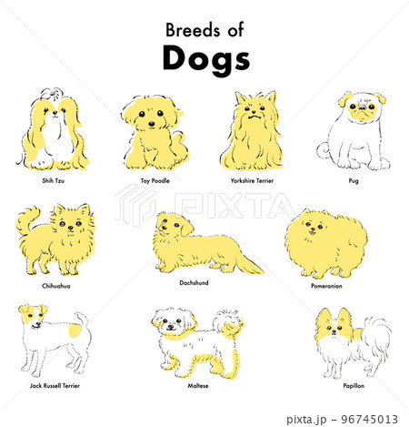 シンプルでかわいい人気の小型犬種　手描き線画ベクターイラストセット 96745013