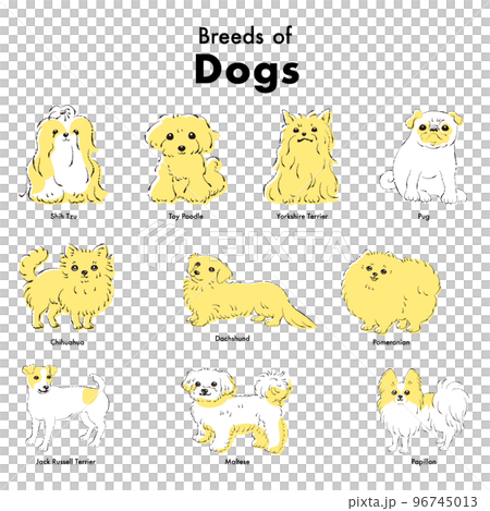 シンプルでかわいい人気の小型犬種　手描き線画ベクターイラストセット 96745013
