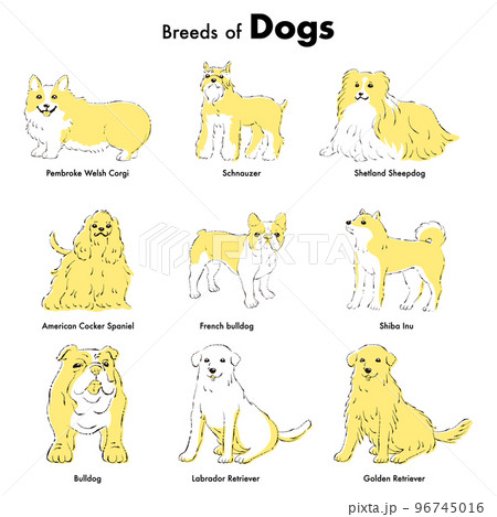 シンプルでかわいい人気の中型・大型犬種 手描き線画ベクターイラストセット シンプルでかわいい人気の中型・大型犬種 手描き線画ベクターイラストセット 96745016