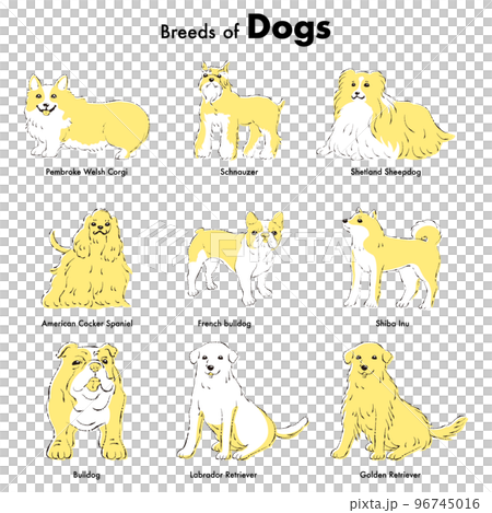 シンプルでかわいい人気の中型・大型犬種 手描き線画ベクターイラストセット シンプルでかわいい人気の中型・大型犬種 手描き線画ベクターイラストセット 96745016