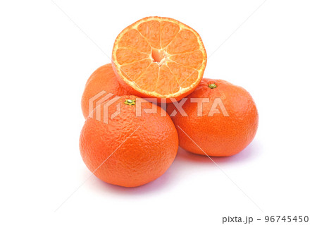 みかん（金時紅/品種名は小原紅早生） 96745450